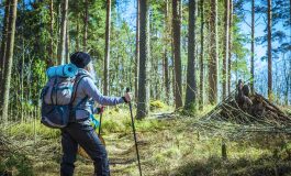 Wandern im Harz: 4 atemberaubende Wanderrouten