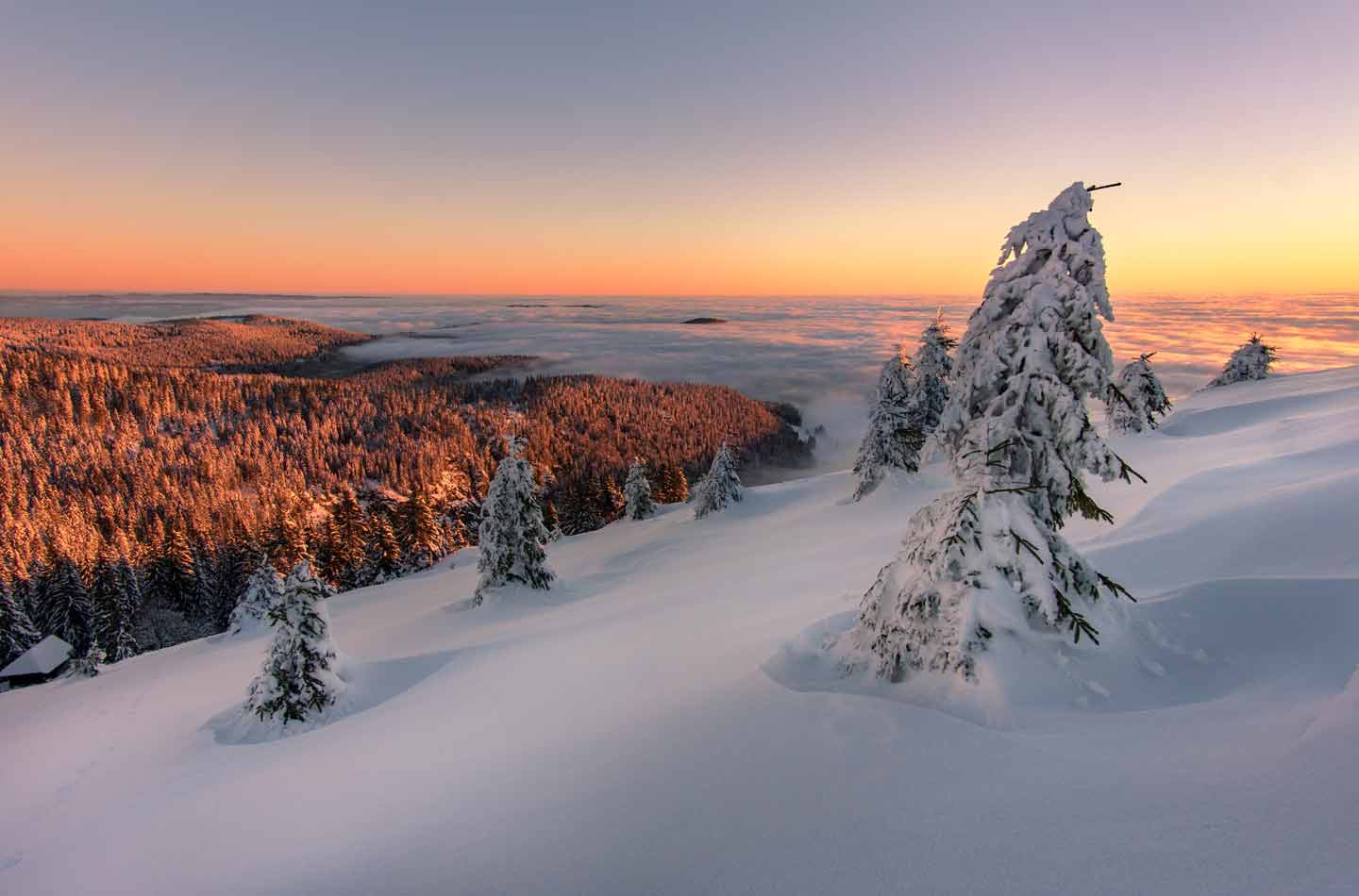 Herrliche Natur: Winter im Schwarzwald