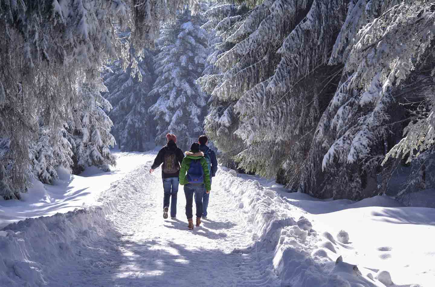 Winternwandern im Schwarzwald