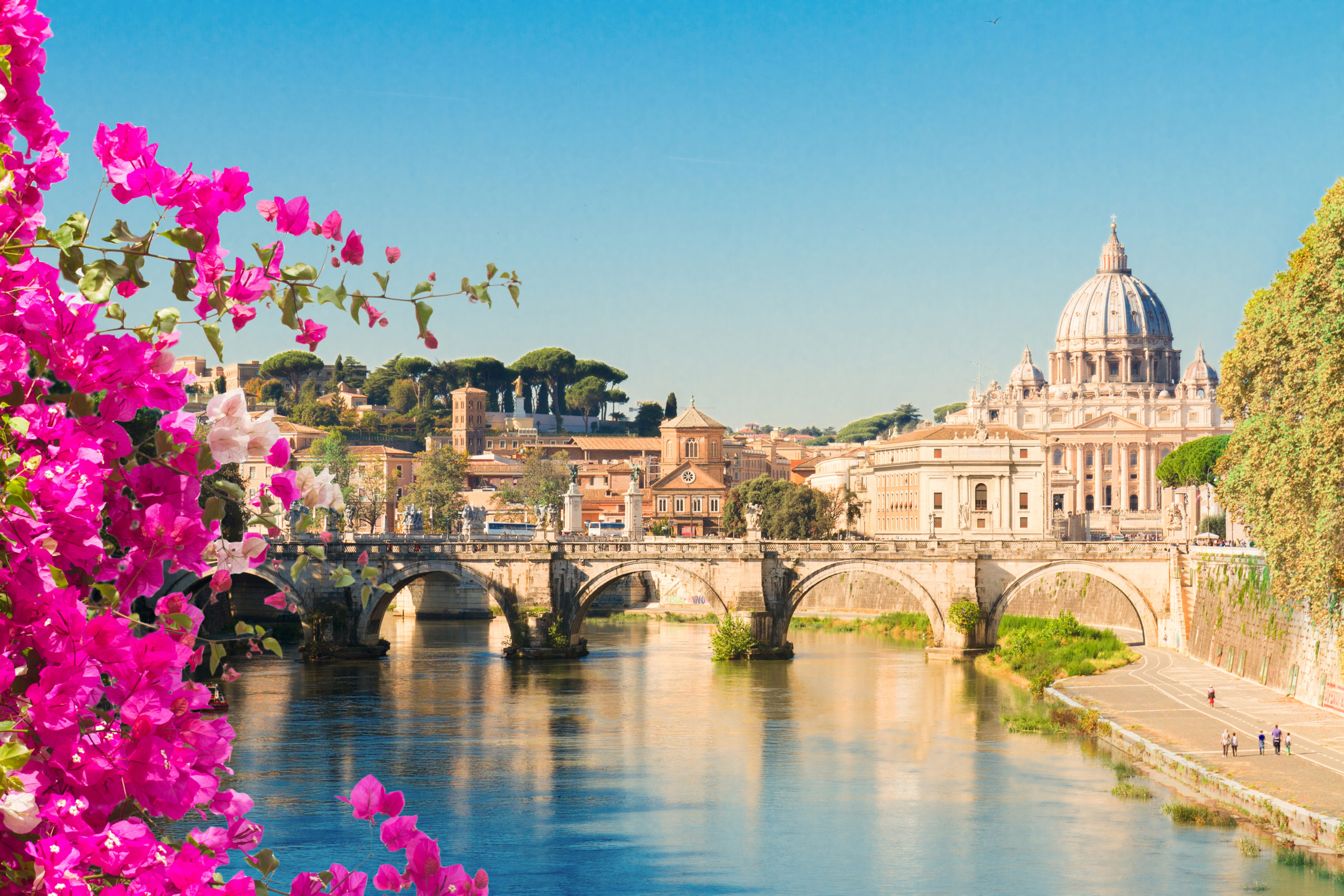 Aussicht auf den Petersdom, die Aurelius Brücke und dem Fluss Tiber mit pinken Blumen im Fordergrund.