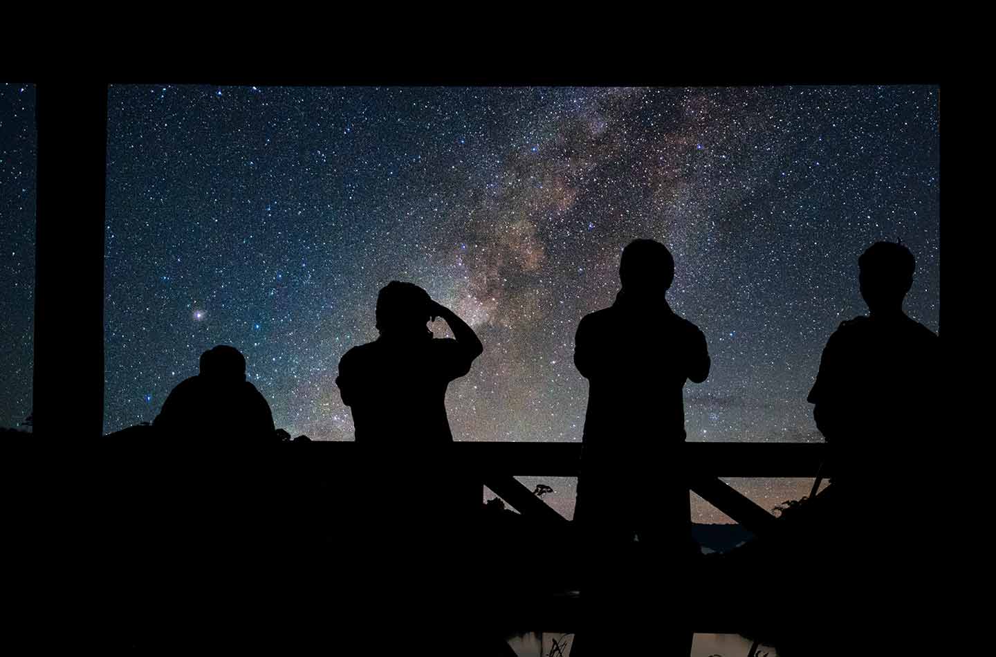 Vier Menschen schauen in den Sternenhimmel