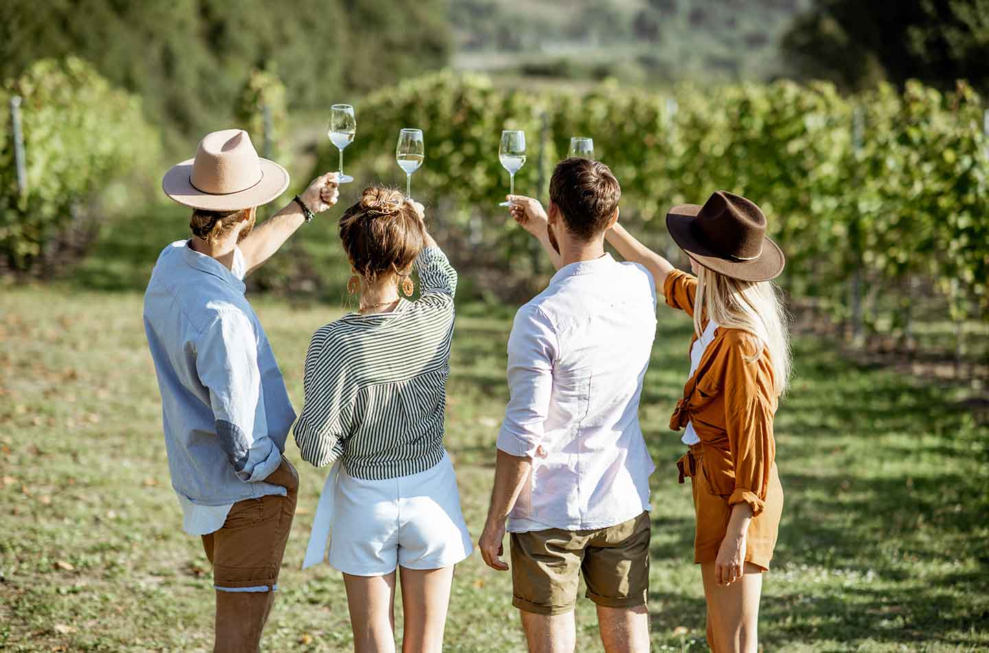 Vier Personen halten ihre Weißweingläser in die Luft. Im Hintergrund sind Weinreben zu erkennen.