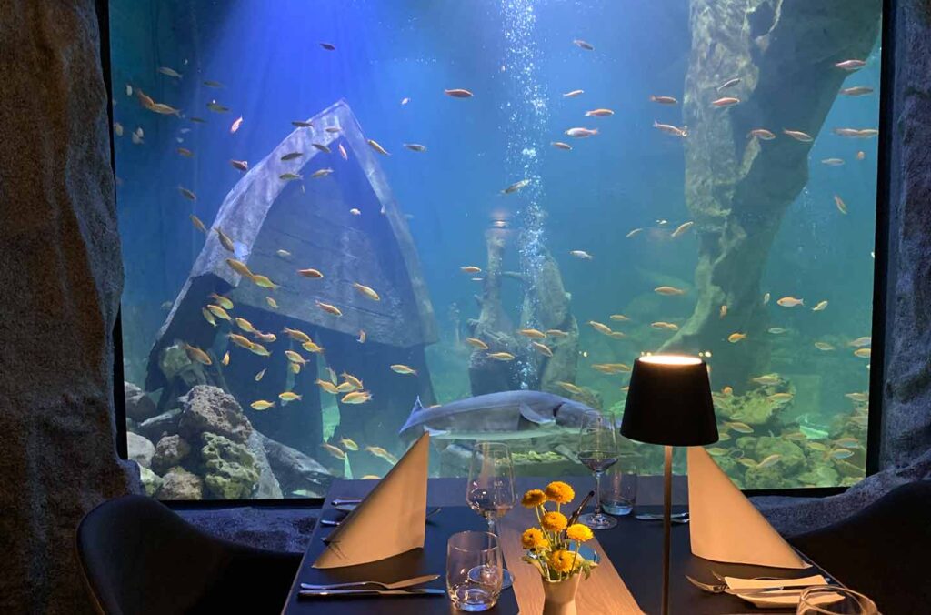 Ein gedeckter Tsich befindet sich direkt an einer großen Glasscheibe, die zu einem großen Aquarium gehört. In dem Aquarium schwimmen Fische an der Scheibe entlang. 