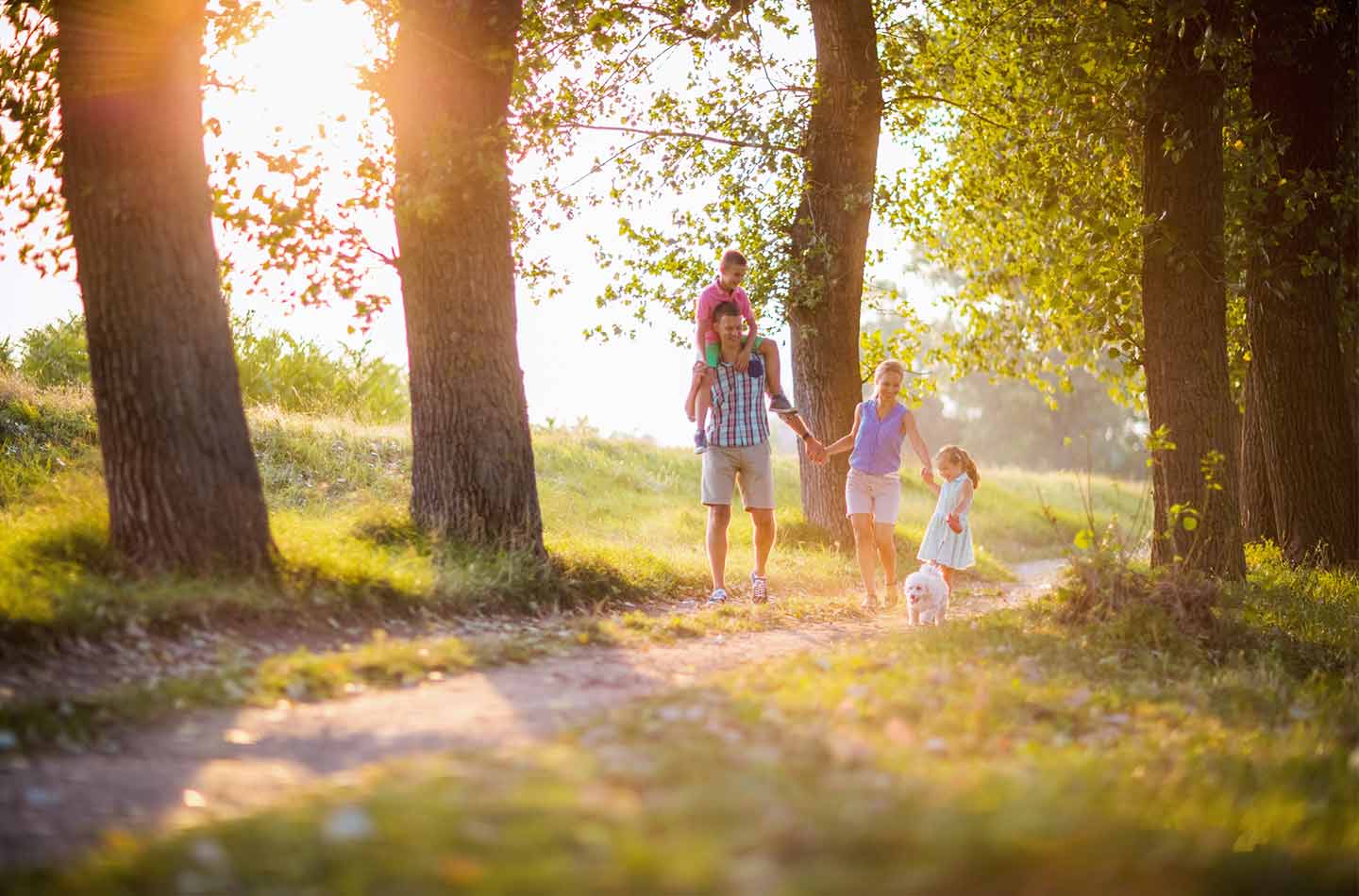Eine Familie spaziert durch einen Wald
