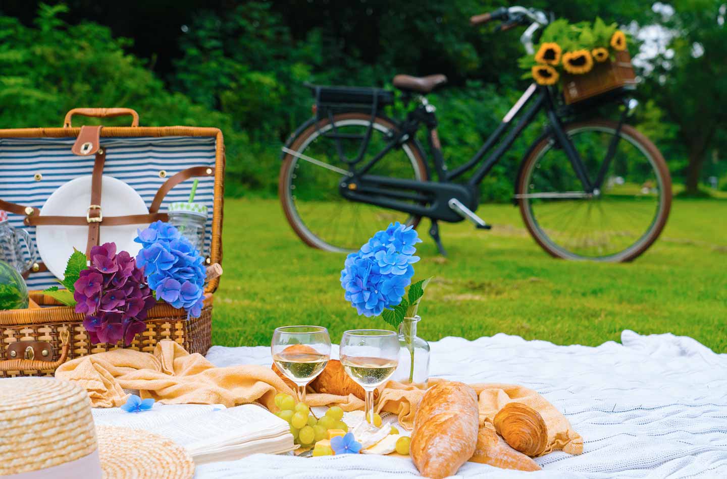 Frühling Picknick auf grüner Wiese mit Fahrrad im Hintergrund