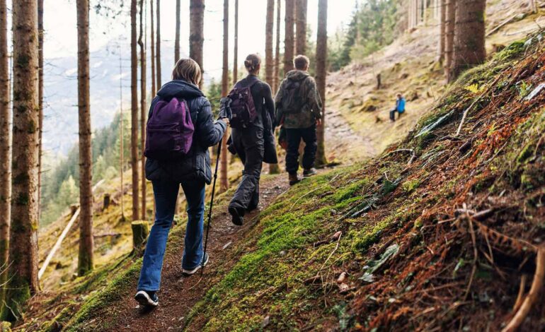Wandern im Harz – mystische Wälder, wilde Felsen und Wege zum Brocken