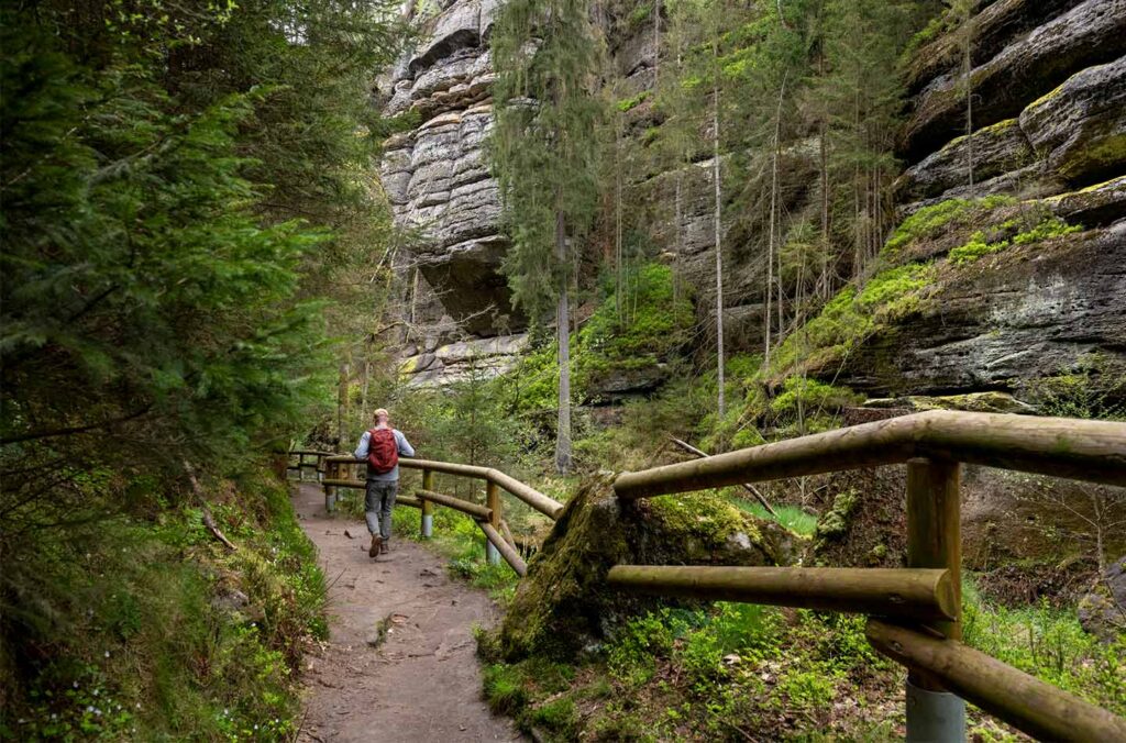Wanderweg in der Sächsischen Schweiz