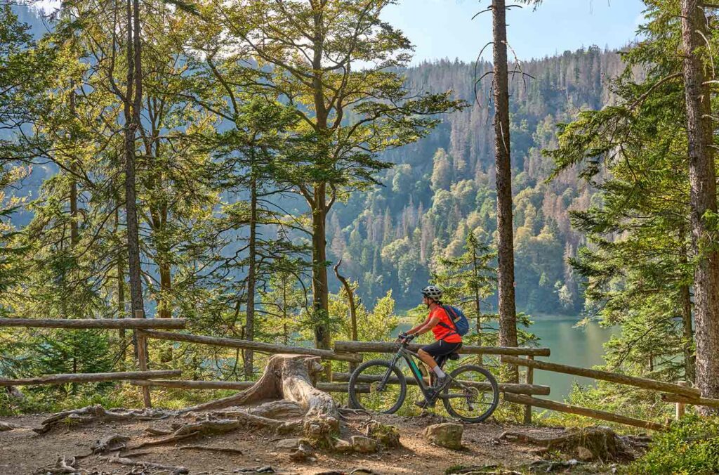 Fahrrad fahren im Schwarzwald