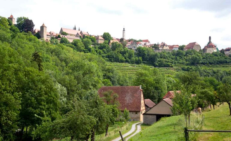 Zwischen Weinbergen und Fachwerk: Radfahren im Taubertal entdecken
