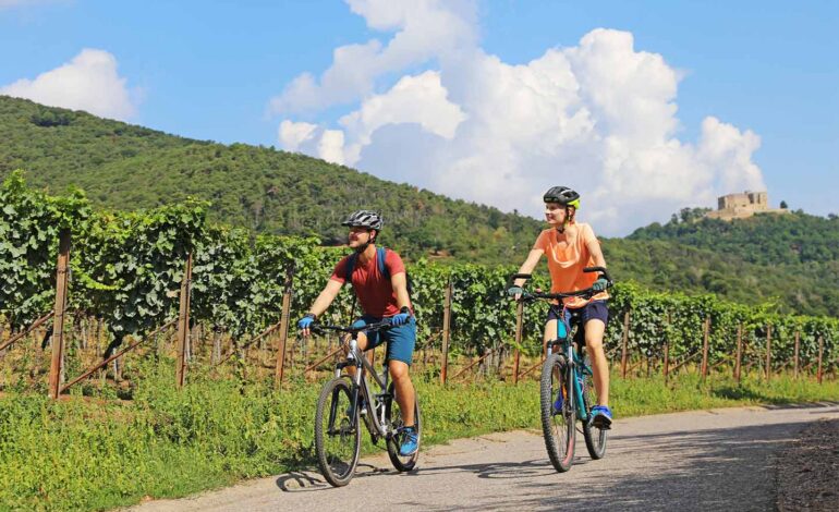 Zwischen Weinbergen und Wildfluss: Radfahren im Ahrtal