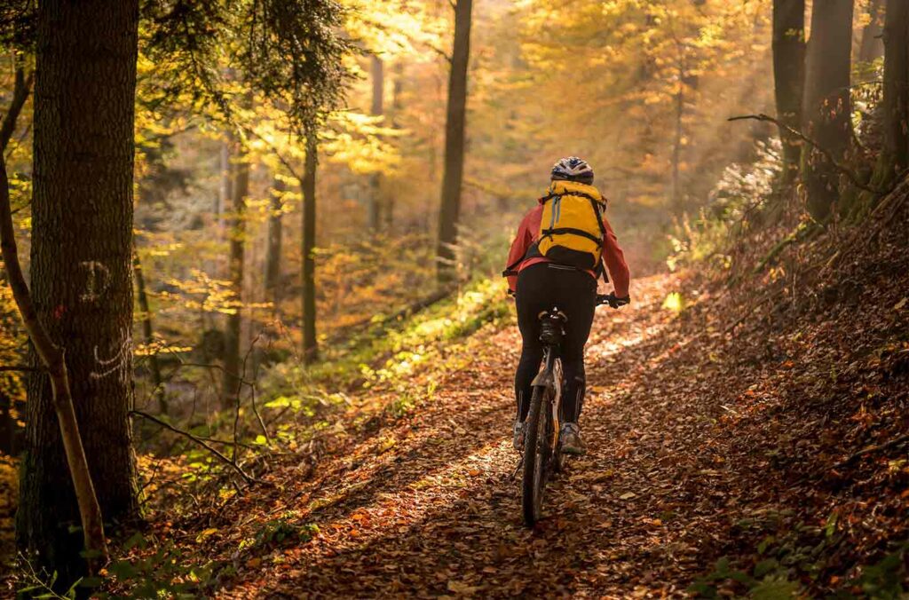 Radweg im Schwarzwald